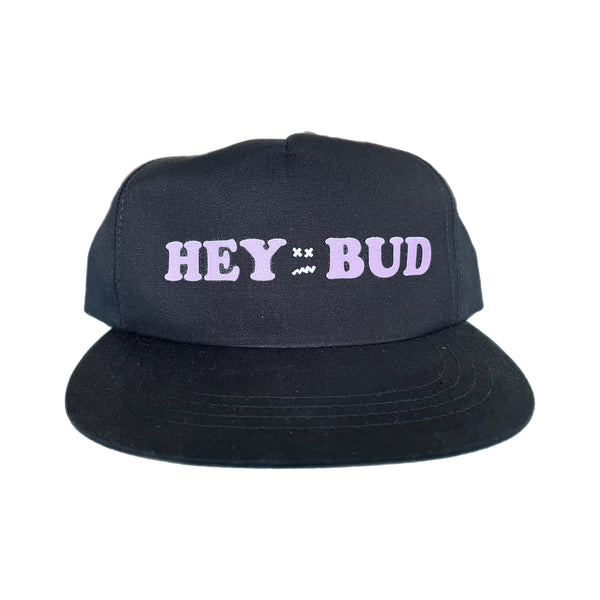 HEY BUD 5 PANEL