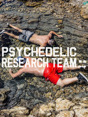Research Team