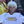 Load image into Gallery viewer, DRUG ZONE