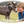 Load image into Gallery viewer, HORSE MEDS