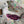 Load image into Gallery viewer, Fisherman Hat - Sticky/Dontcare Colab