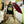 Load image into Gallery viewer, Worst Surfer Out There DON'T CARE X LEUS

